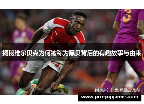 揭秘维尔贝克为何被称为黑贝背后的有趣故事与由来 揭秘维尔贝克为何被称为黑贝背后的有趣故事与由来