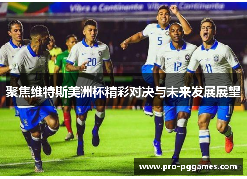 聚焦维特斯美洲杯精彩对决与未来发展展望