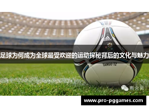 足球为何成为全球最受欢迎的运动探秘背后的文化与魅力