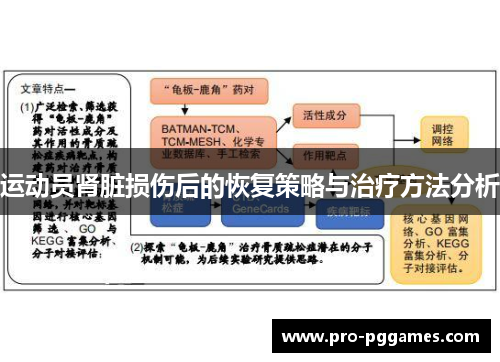 运动员肾脏损伤后的恢复策略与治疗方法分析 运动员肾脏损伤后的恢复策略与治疗方法分析