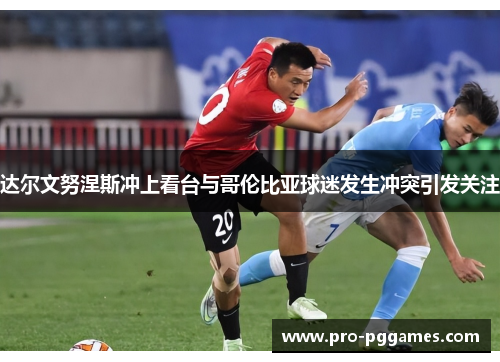 达尔文努涅斯冲上看台与哥伦比亚球迷发生冲突引发关注