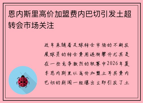 恩内斯里高价加盟费内巴切引发土超转会市场关注