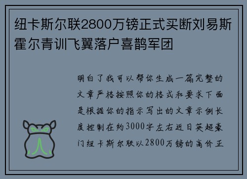 纽卡斯尔联2800万镑正式买断刘易斯霍尔青训飞翼落户喜鹊军团
