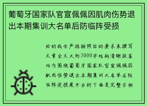 葡萄牙国家队官宣佩佩因肌肉伤势退出本期集训大名单后防临阵受损
